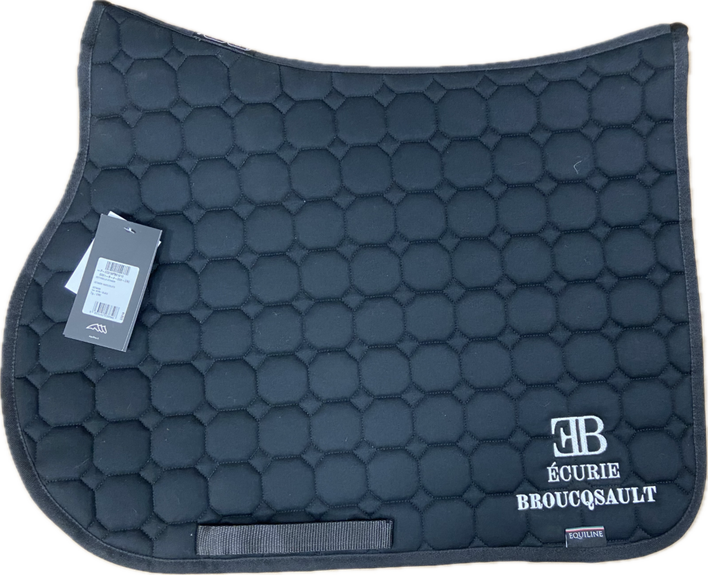 tapis 2